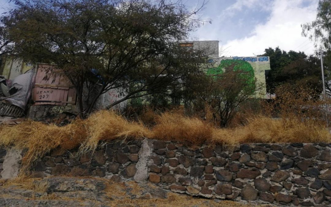 TERRENO EN VENTA