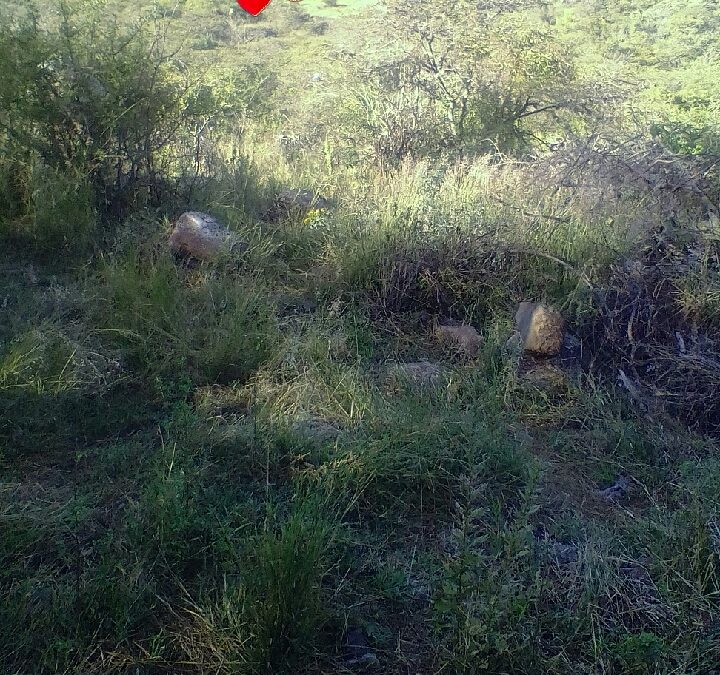 Terreno en venta