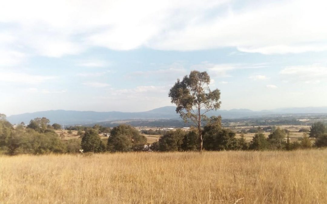 Terreno en Venta
