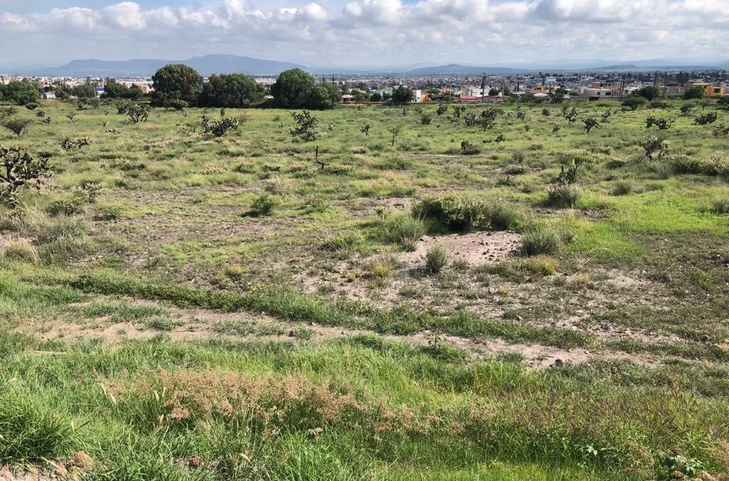 TERRENO EN VENTA
