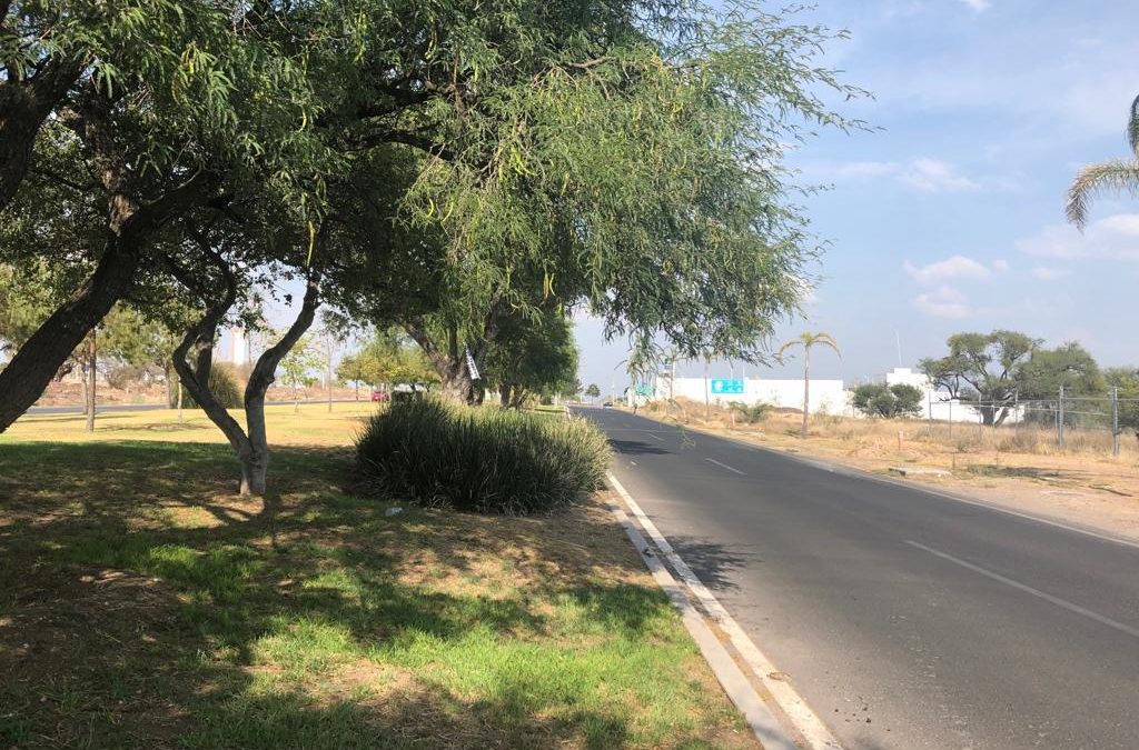 TERRENO COMERCIAL MIXTO